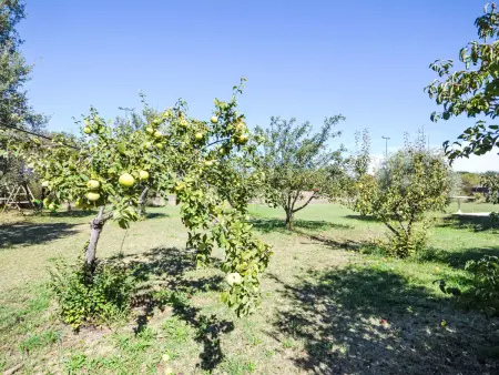 L'Oliveraie, Maison 6 personnes à Pernes les Fontaines - Photo 22