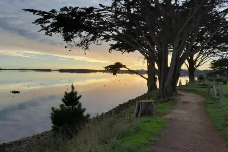 Les Iles du Morbihan 2, Appartement en Bretagne près de Morbihan - Photo 30