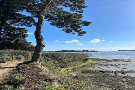 Les Iles du Morbihan 3, Appartement en Bretagne près de Morbihan - Photo 20