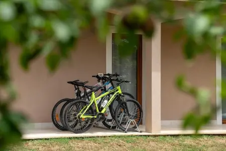 Villa Dani, Splendide Villa à Vižinada avec sauna - Photo 25