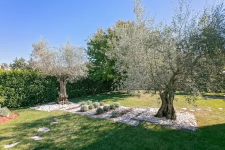 Villa Dani, Splendide Villa à Vižinada avec sauna - Photo 26