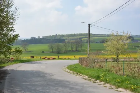 Au Coeur de Champlon, Villa Champlon près de Forest - Photo 18