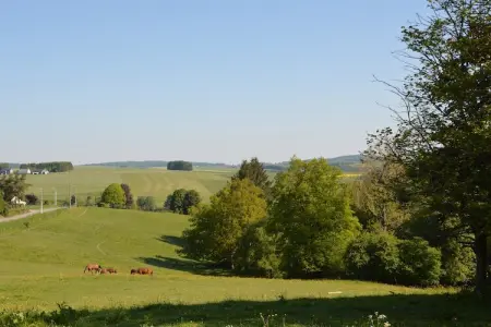 Au Coeur de Champlon, Villa Champlon près de Forest - Photo 28