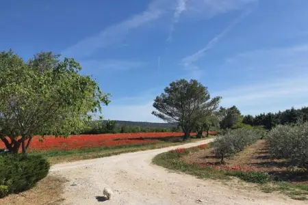 La Bastide des Chênes 2, Maisonette à Gordes près des collines - Photo 27