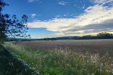 Les 4 Soleils 3, Séjour ensoleillé au pays de la lavande - Photo 32