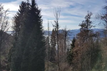 Verdelago Quattordici, Maison au bord du Lac Majeur avec piscine - Photo 36