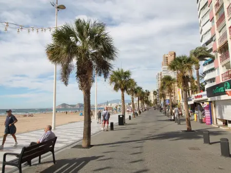 Las Damas, Appartement 3 personnes à Benidorm - Photo 23