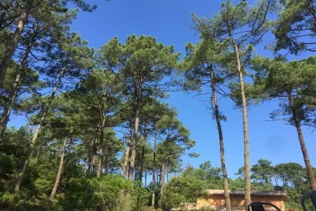 Clos les Pins, Retraite chic près des dunes - Photo 27
