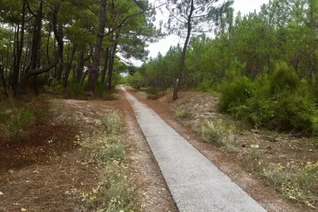 Clos les Pins, Retraite chic près des dunes - Photo 29