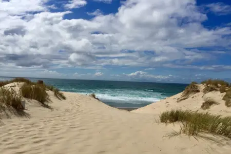 Clos les Pins, Retraite chic près des dunes - Photo 34