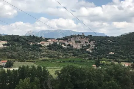 Les Mûriers, Villa Vignoble Tranquille, Berlou - Photo 38