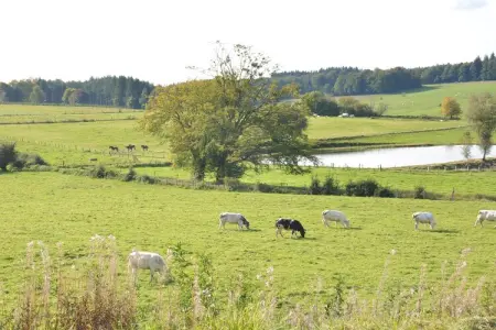 Likthuus 15, Maison à Bièvre près de forêt et étang - Photo 32