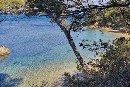 Residence Les Océanides 1, Retraite ensoleillée avec piscine - Photo 35