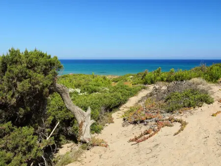 Baia delle Mimose, Maison 6 personnes à Badesi - Photo 21
