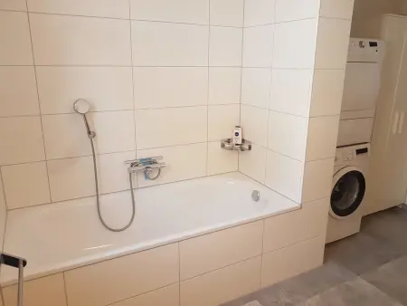 Ferienwohnung Dentervitgs, Appartement 8 personnes à Sedrun - Photo 11