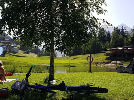 Ferienwohnung Dentervitgs, Appartement 8 personnes à Sedrun - Photo 15