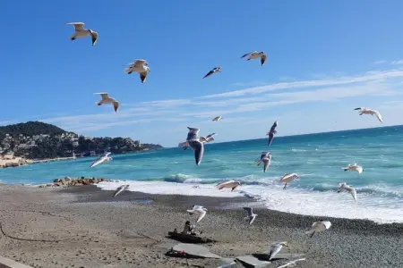 Palais Rossini 2, Appartement à Nice près de la Promenade - Photo 35
