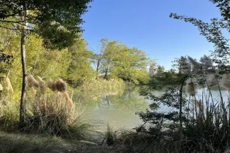 maison la prairie, Havre de paix provençal au bord du parc - Photo 37