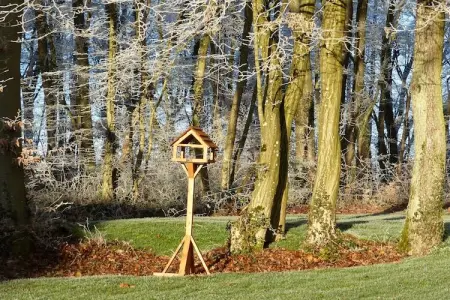 Bois Joli, Maison de vacances spacieuse avec terrasse à Beauraing - Photo 21