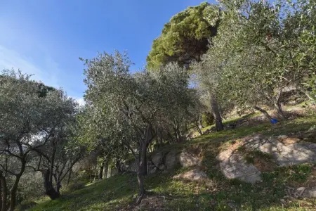La Panoramica, Séjour paisible dans une villa à Rapallo - Photo 28