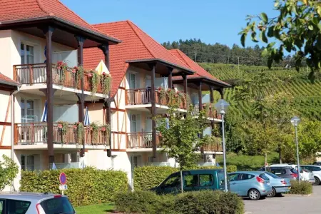 Le Domaine des Rois 1, Retraite paisible en Alsace - Photo 8