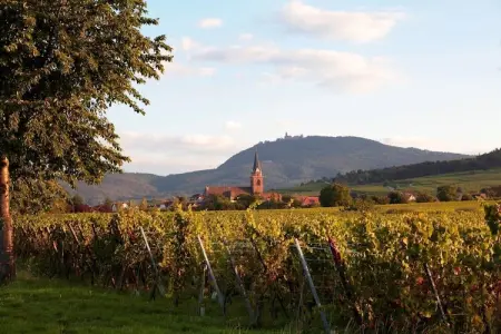 Le Domaine des Rois 1, Retraite paisible en Alsace - Photo 15