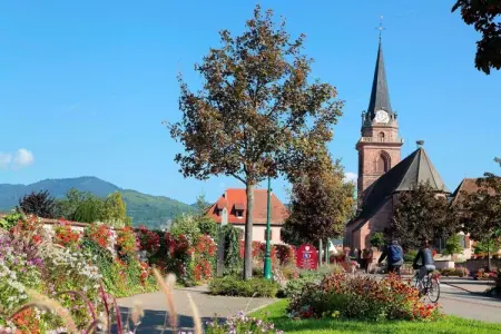 Le Domaine des Rois 1, Retraite paisible en Alsace - Photo 17