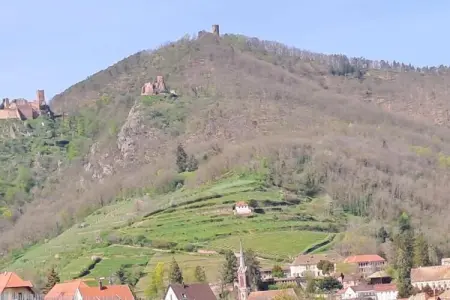 Le Domaine des Rois 1, Retraite paisible en Alsace - Photo 30