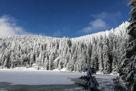 Le Domaine des Rois 1, Retraite paisible en Alsace - Photo 35