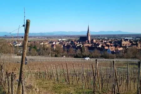 Le Domaine des Rois 2, Appartement à Bergheim près du village - Photo 18