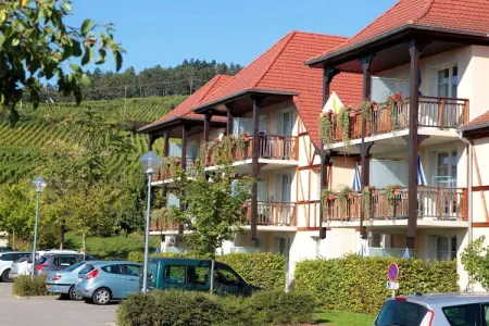 Le Domaine des Rois 3, Appartement à Bergheim près des vignobles - Photo 8