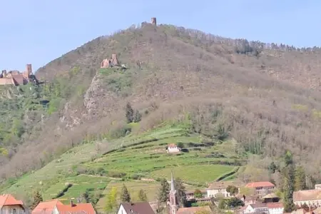 Le Domaine des Rois 3, Appartement à Bergheim près des vignobles - Photo 17