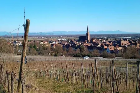 Le Domaine des Rois 3, Appartement à Bergheim près des vignobles - Photo 19