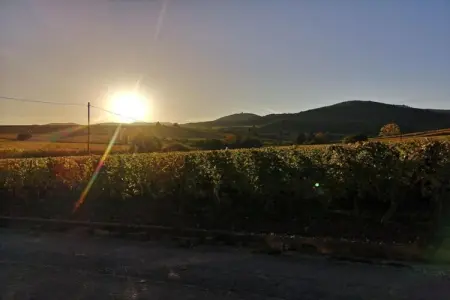 Le Domaine des Rois 3, Appartement à Bergheim près des vignobles - Photo 24