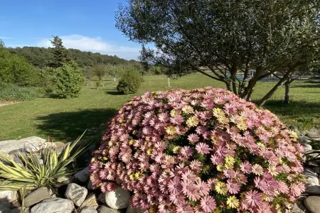 Villa Lézignan, Villa tranquille avec piscine - Photo 21