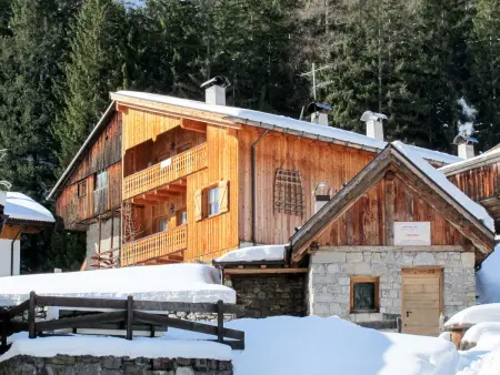 Trottner, Appartement 4 personnes à Campitello - Photo 1