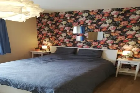 Villa Papillon, Villa à Languedoc avec piscine proche villes - Photo 8