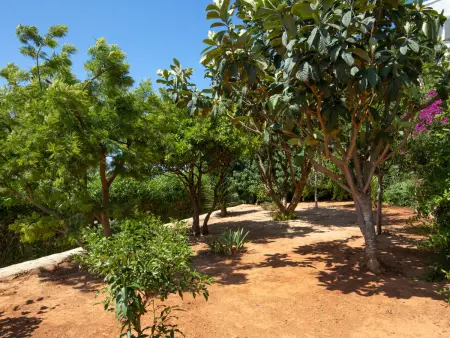Los Buhitos, Villa 6 personnes à Javea - Photo 35
