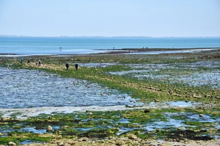 Maison indépendante sur l'île de Ré, Maison de vacances spacieuse près de la mer à Loix - Photo 16