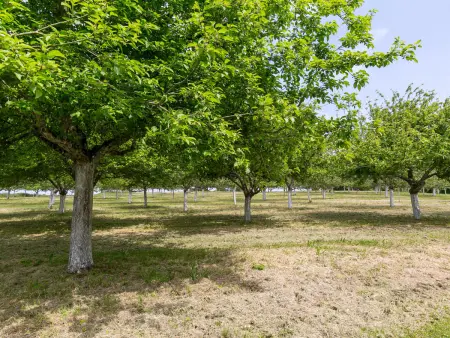 La Part des Anges, Gite 3 personnes à Guimaëc - Photo 16