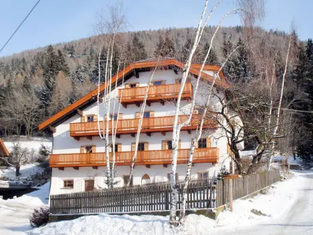 Zollerhof (OLA190), Appartement 2 personnes à Valdàora - Photo 4
