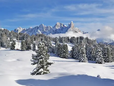 Chalet  Baita Tabià  Dolomites, Chalet 9 personnes à Predazzo - Photo 30
