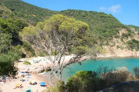 Finca GuiMar, Maison à Sant Feliu proche de la Plage - Photo 36