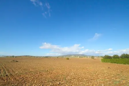Aubadallet, Villa à Vilafranca avec piscine et barbecue - Photo 34