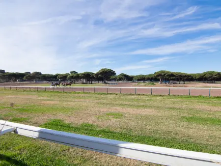 Les Pesquiers, Villa 4 personnes à Hyères - Photo 4