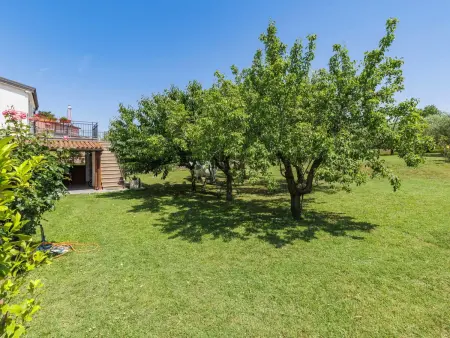 Olivo, Appartement 4 personnes à Novigrad (Istra) - Photo 29