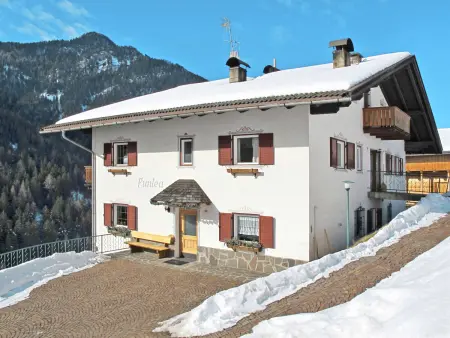 Puntea, Appartement 10 personnes à Santa Cristina - Photo 23