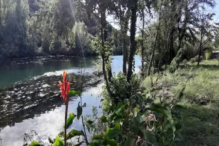 Au bord de L'Orb, Villa  avec piscine à Roquebrun - Photo 31