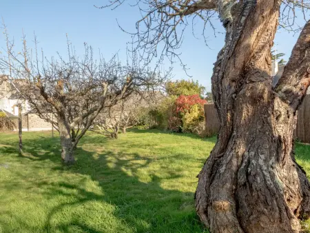 Le Petit Biyou, Maison 4 personnes à Dinard - Photo 21