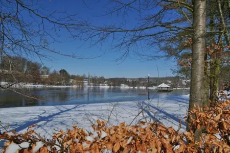 Les Doyards 1, Maison à Vielsalm avec Vue sur le Lac - Photo 25